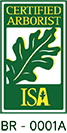ISA Certificado Paisagro Pode e Corte de Árvores Zona Leste